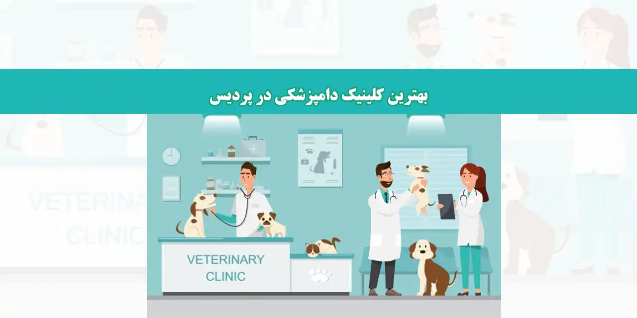 شاخص-دامپزشک