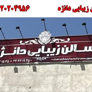شاخص-دانژه