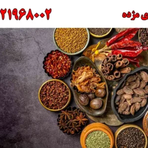 شاخص-مژده-جدید