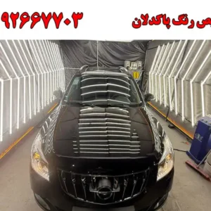 شاخص-پاک