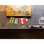 سکه دایان در بلوار فردوس شرق