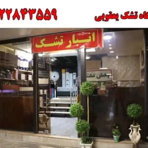 شاخص-تشک
