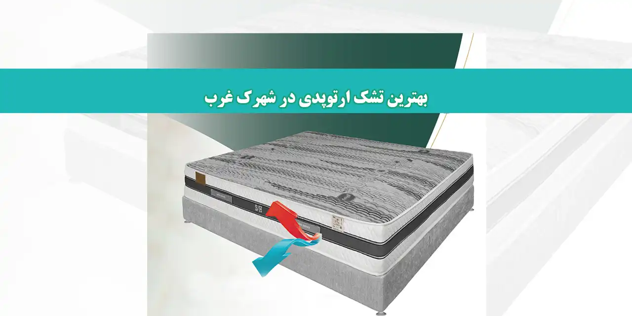 شاخص-تشک