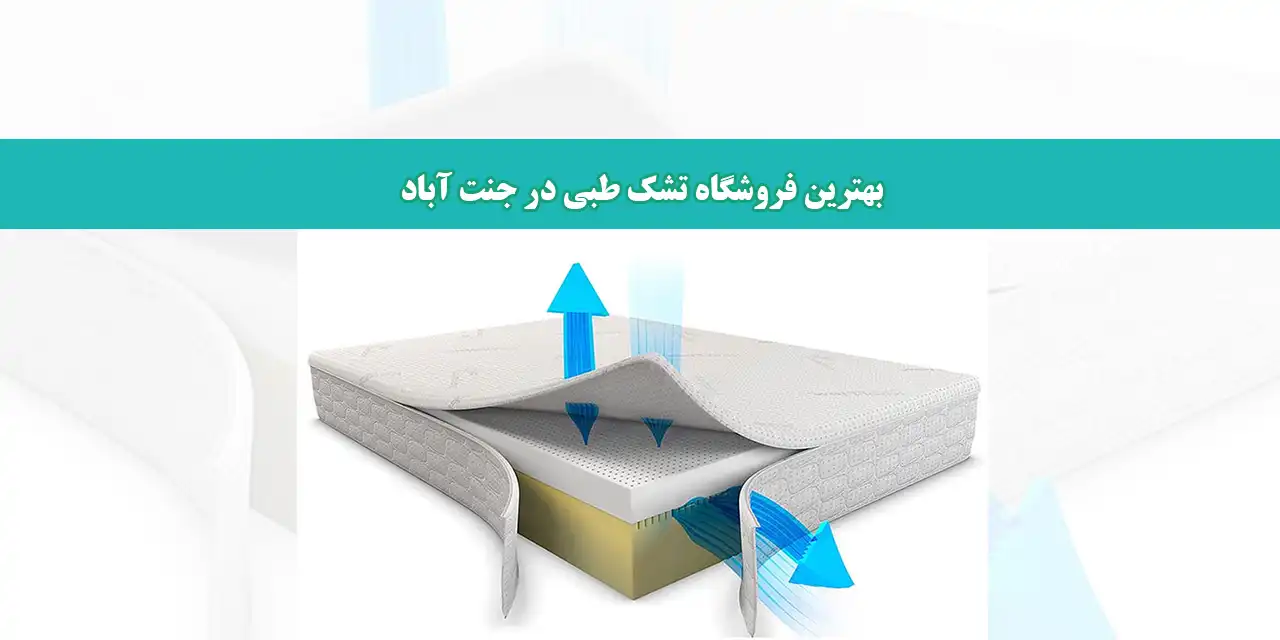 شاخص-تشک