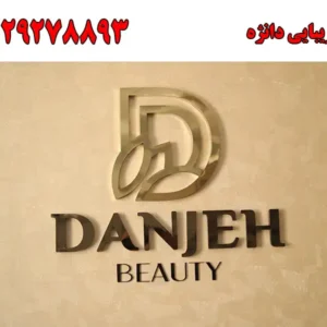 شاخص-دانژه