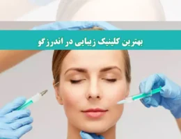 شاخص-زیبایی