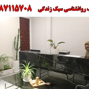 شاخص-سبک-زندگی