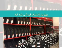 شاخص-لاستیک