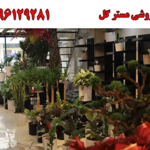 شاخص-مستر