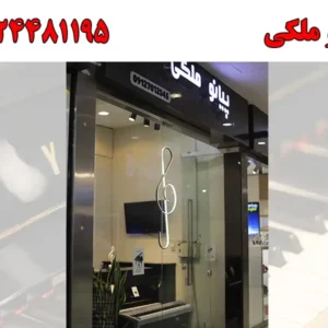 شاخص-ملکی