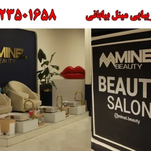 شاخص-مینل