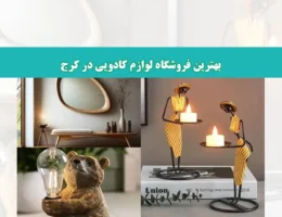 شاخص-کادو