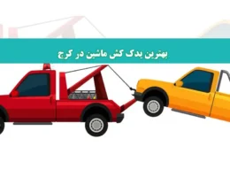 شاخص-یدک
