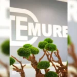 سالن زیبایی دمور بیوتی در اشرفی اصفهانی