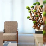 سالن زیبایی دمور بیوتی در اشرفی اصفهانی