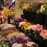 گل فروشی مستر گل در مشکین دشت