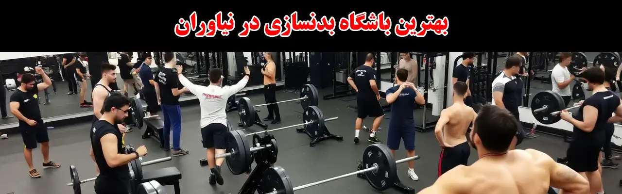 15-بهترین-باشگاه-بدنسازی-در-نیاوران