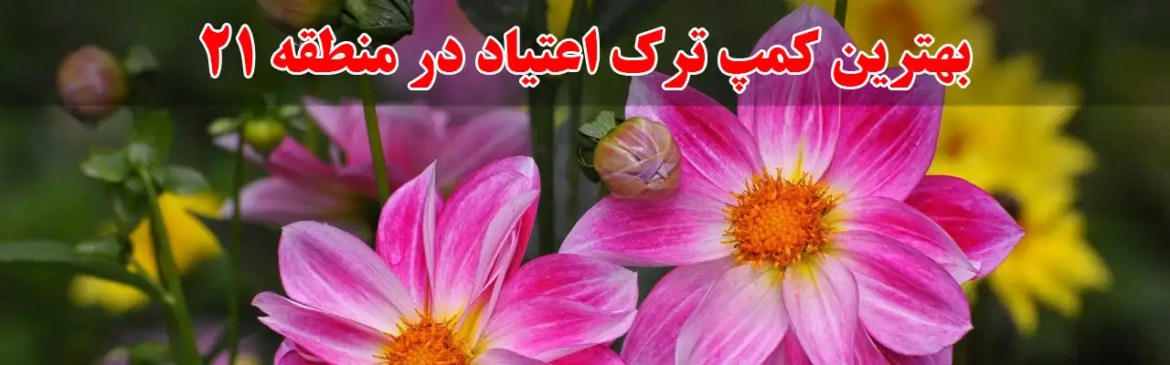 15بهترین-کمپ-ترک-اعتیاد-آقایان-در-منطقه-21