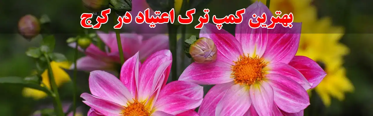 15بهترین-کمپ-ترک-اعتیاد-آقایان-در-کرج