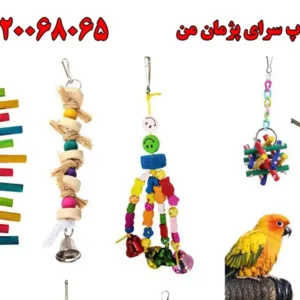 شاحص-پژمان