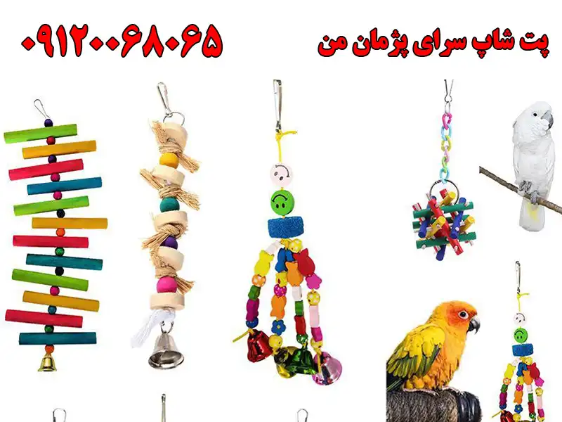 پت شاپ سرای پژمان من در نظام آباد