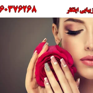 شاخص-ایلگار