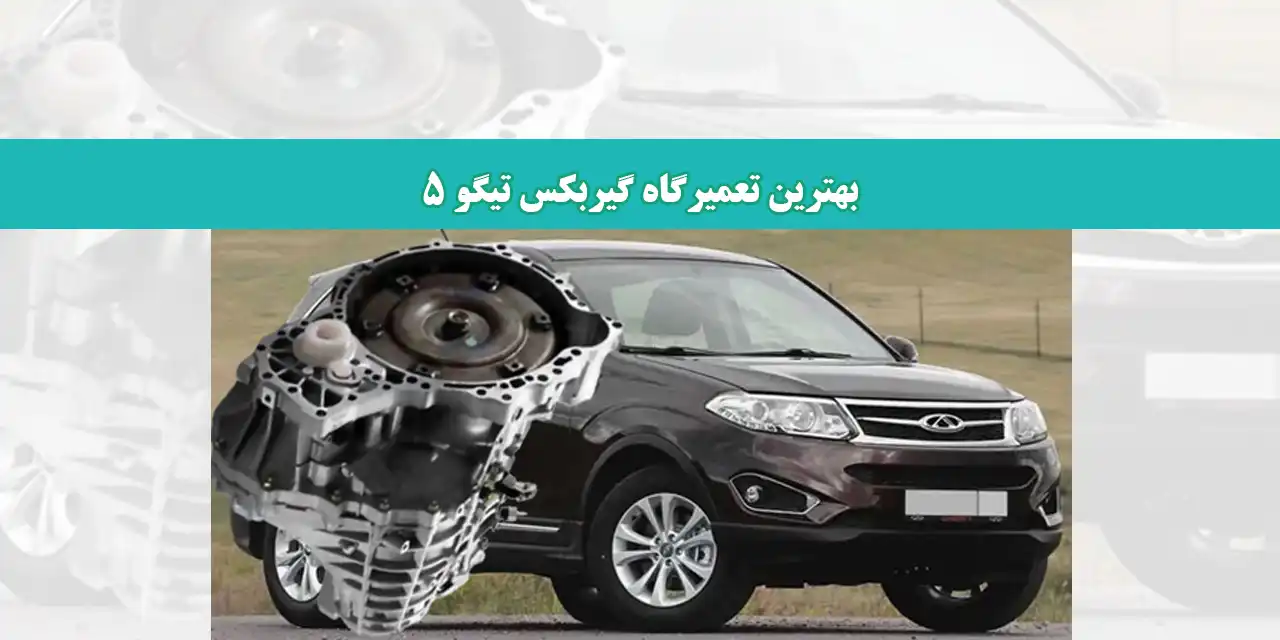 شاخص-تسگو