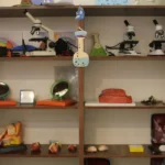 مجموعه آموزشی همیشه بهار و نوید بهار در هروی