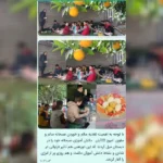 دبستان غیردولتی پسرانه ثامن (ضامن آهو) در تهرانپارس