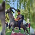 دبستان پسرانه غیردولتی پارسا در گوهردشت