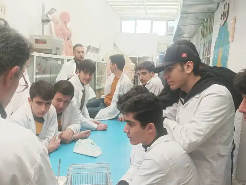 دبیرستان دوره دوم پسرانه سما در گوهردشت