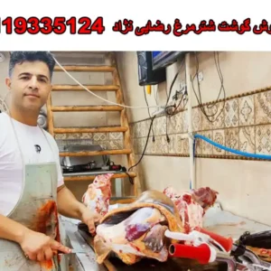 شاخص-شتر-مرغ