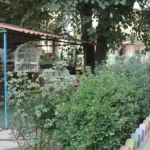 پیش دبستان و دبستان دخترانه میرداماد در شهر ری