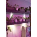 کلینیک ارتوپدی کامیار در پاسداران