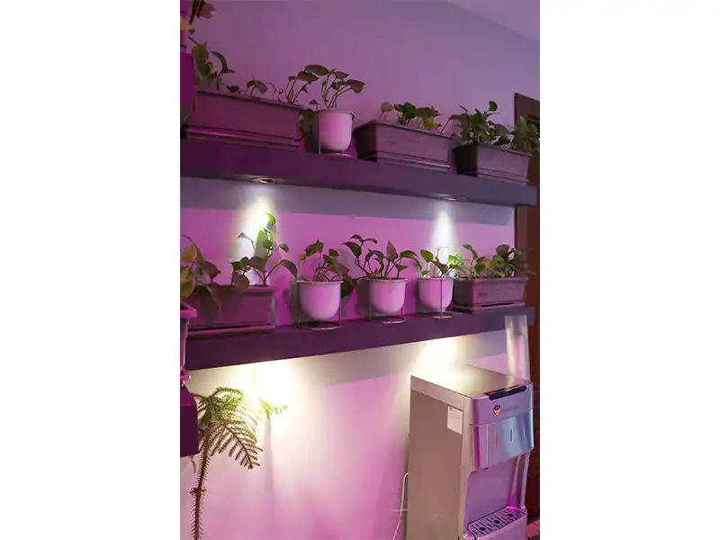 کلینیک ارتوپدی کامیار در پاسداران