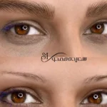 آکادمی سعیده مهدوی در بلوار فردوس