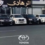 اتو هادی در عباس آباد