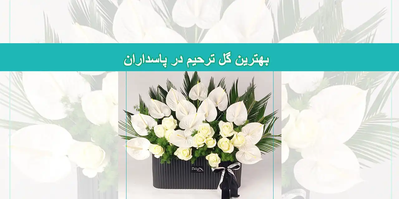 شاحص-پاسداران