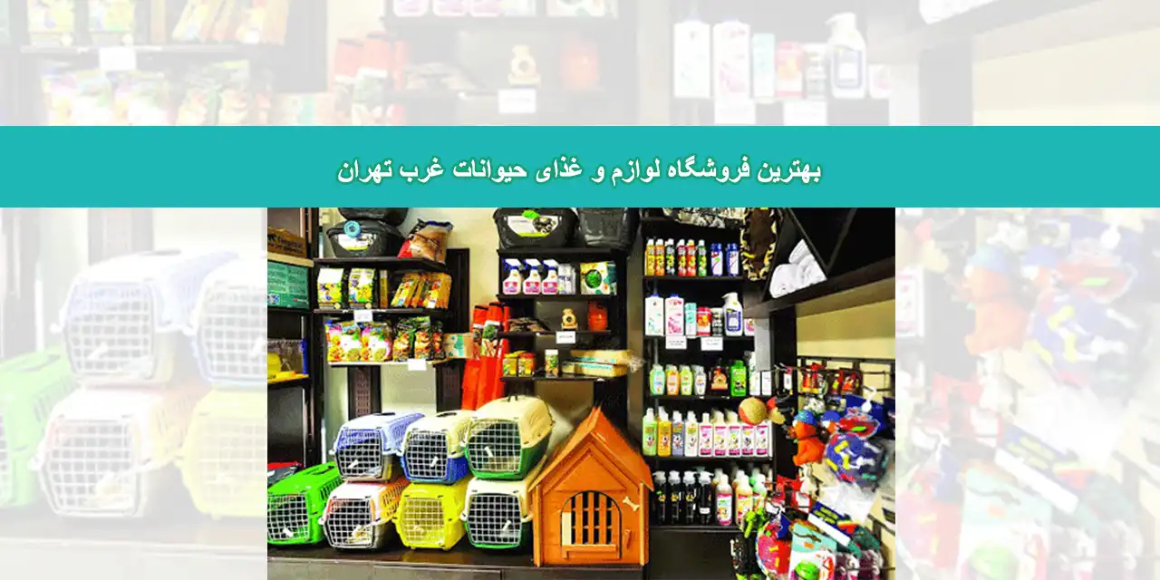 غذا-حیوانات