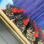 پیش دبستان و دبستان دخترانه سما 6 در فردیس