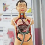 پیش دبستان و دبستان غیردولتی تحسین در مهرشهر