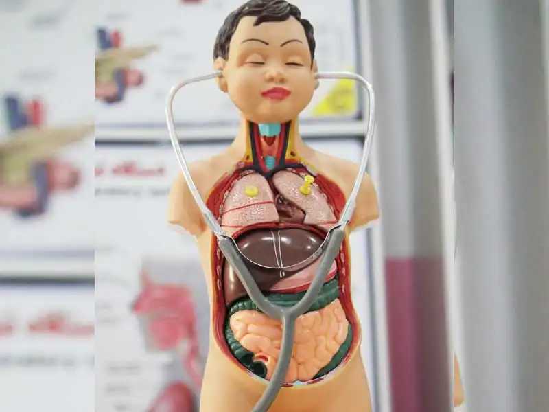 پیش دبستان و دبستان غیردولتی تحسین در مهرشهر