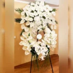 گل فروشی پیونی در ولنجک