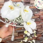 گل فروشی پیونی در ولنجک