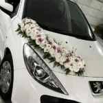 گل فروشی پیونی در ولنجک