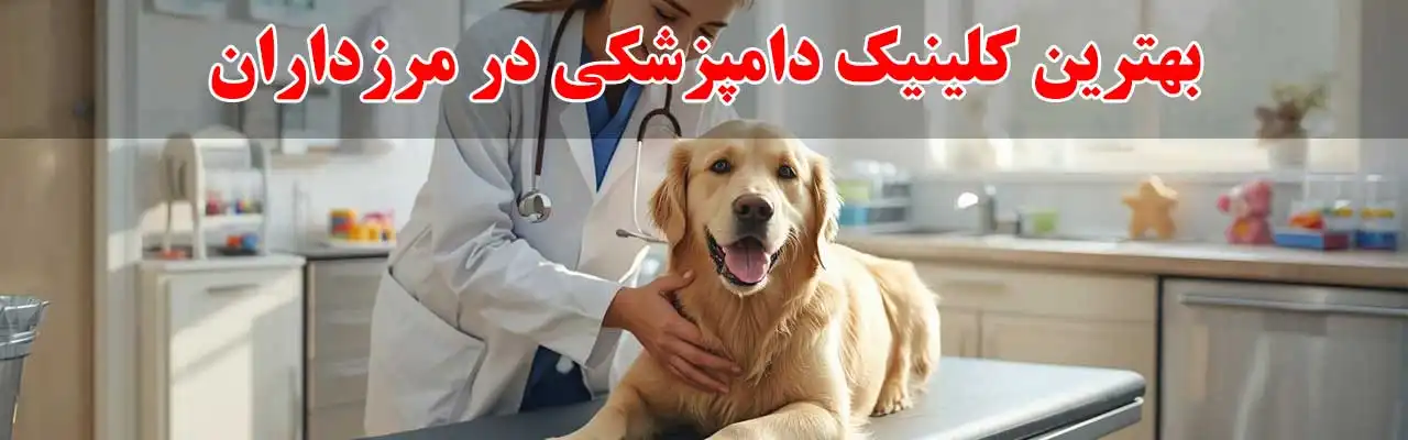 15--بهترین-کلینیک-دامپزشکی-در-مرزداران