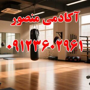 آکادمی-منصور