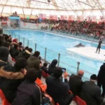 دبیرستان دوره اول پسرانه صراط دانش در اسلامشهر