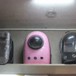 دهکده حیوانات در شهرک اکباتان فاز 2