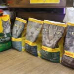 دهکده حیوانات در شهرک اکباتان فاز 2